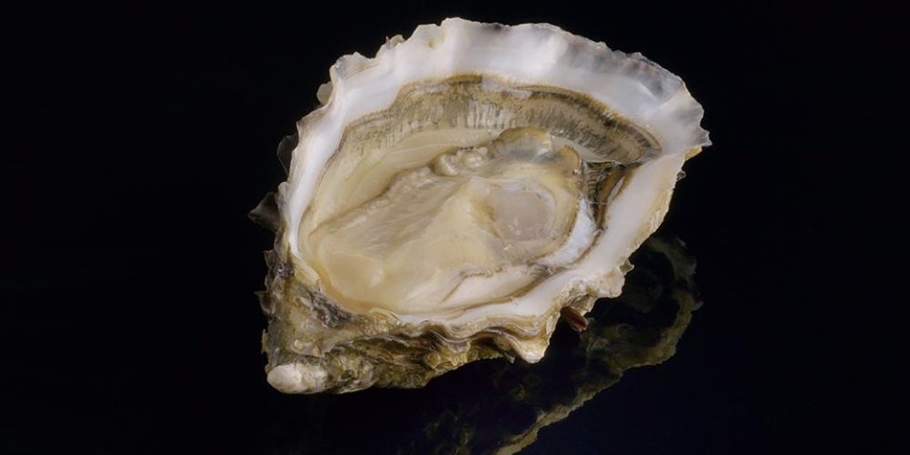 Fine de Claire de David Hervé