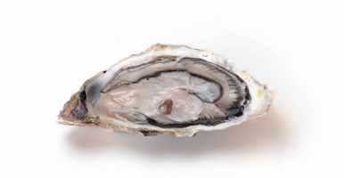 San Vicente De La Barquera