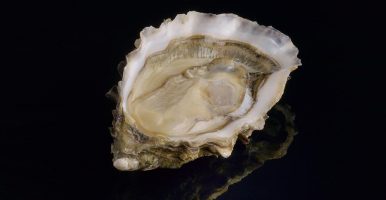 Fine de Claire de David Hervé