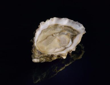 Fine de Claire de David Hervé