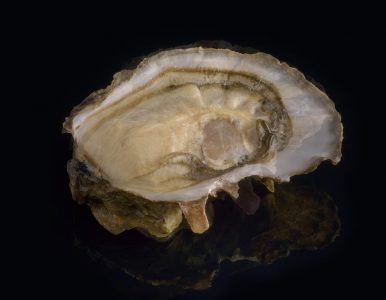 Ideale – Pousse En Claire