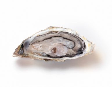 San Vicente De La Barquera