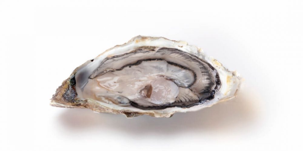 San Vicente De La Barquera