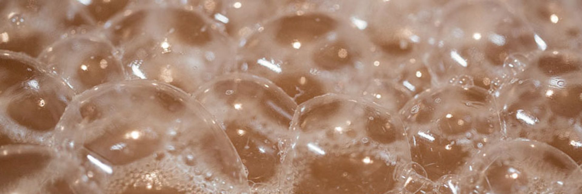 FERMENTACIÓN