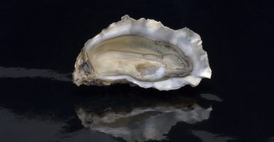 Estivale